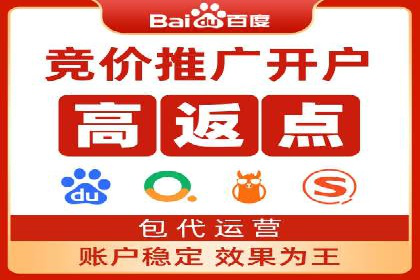 百度广告投放策略与效果评估案例